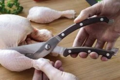 Berghoff Essentials Poultry Shears With Wooden Riveted Handles -BladePro Store bergoff essentials poultry shears wooden riveted handles 2