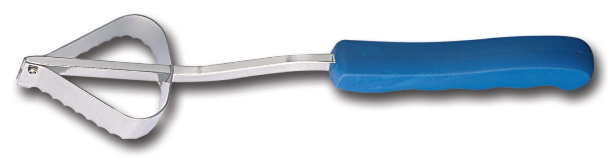 FISCHER Professional Fish Scaler 16cm - Blue Handle 3 FISCHER Professional Fish Scaler 16cm - Blue Handle