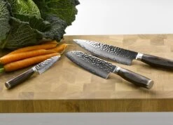 KAI Shun Premier Tim Mälzer 2-piece Steak Knife Set -BladePro Store kai shun premier tim malzer 2 piece steak knife set 15cm 4