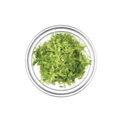 Microplane Premium Zester-Grater , Stainless Steel Blade - Green Handle -BladePro Store microplane premium zester grater stainless steel blade green handle 5