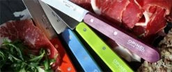 Opinel N°112 Set Of 4 Paring Knives 10cm With Colourful Handles -BladePro Store opinel n112 set 4 paring knives 10cm colourful handles 2
