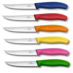 Victorinox Knife Block With 6 Steak Knives 12cm - Multicolour Handles -BladePro Store victorinox knife block 6 steak knives 12cm multicolour handles 1